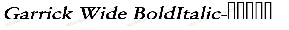 Garrick Wide BoldItalic字体转换